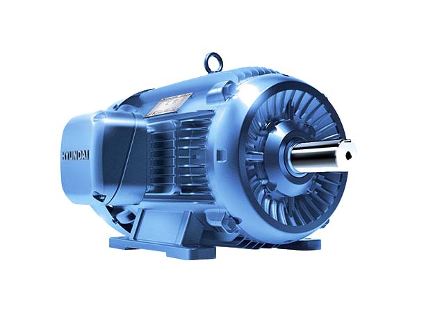 Products 5 현대일렉트릭 IE3 전폐형 전동기 TEFC 산업용 모터