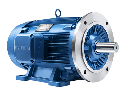 현대일렉트릭 모터 라인업 | IE3 전동기 0.75kW~200kW 가격·규격·카탈로그 3 현대일렉트릭 IE3 전동기 B3B5 조합형 안내 이미지