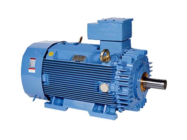Products 7 현대일렉트릭 방폭 전동기 IE3 산업용 모터